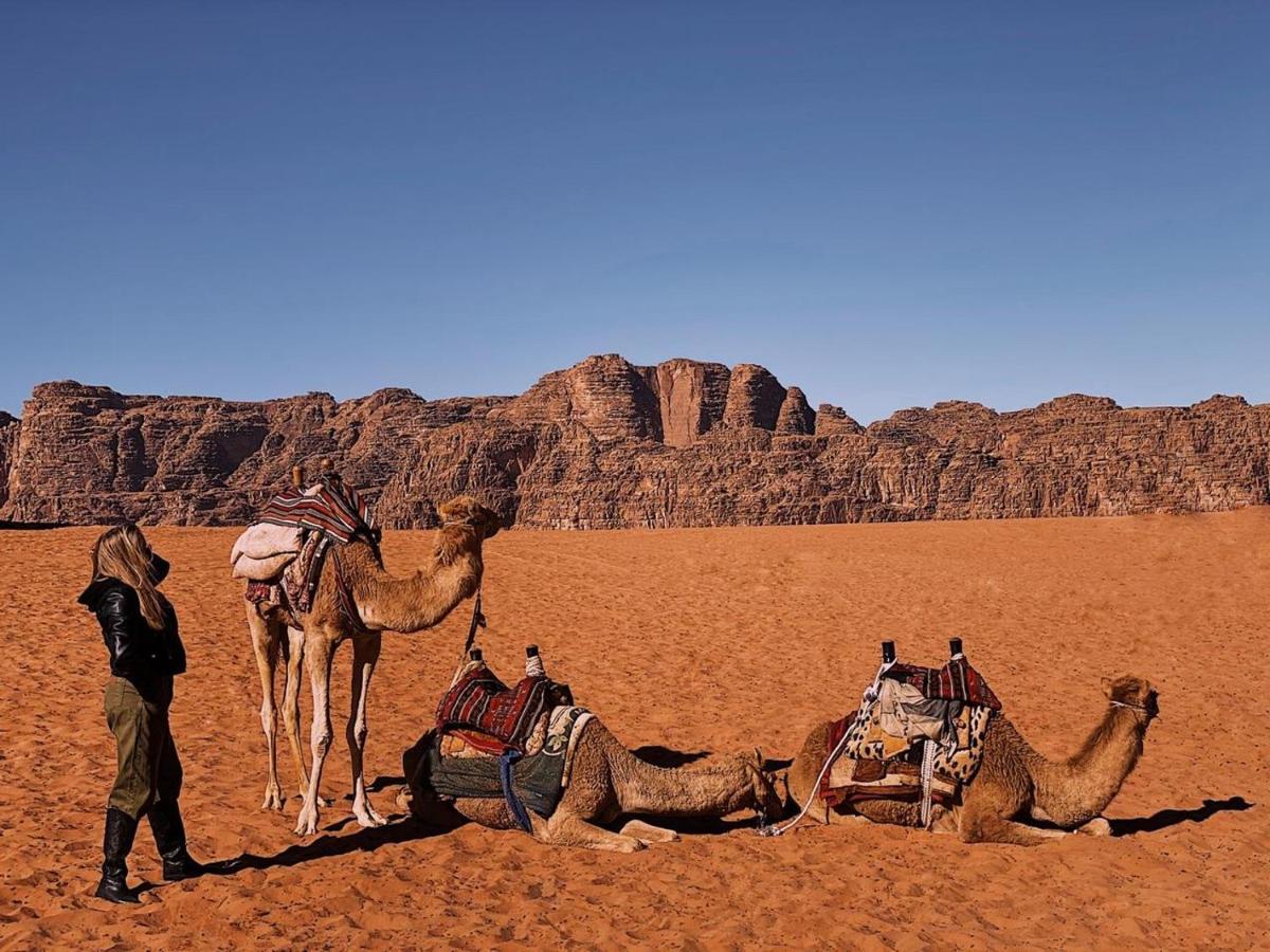 Rum Crown Wadi Rum Exteriör bild