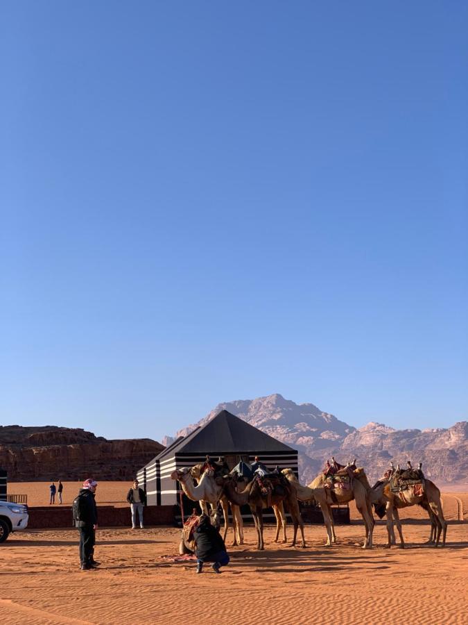 Rum Crown Wadi Rum Exteriör bild